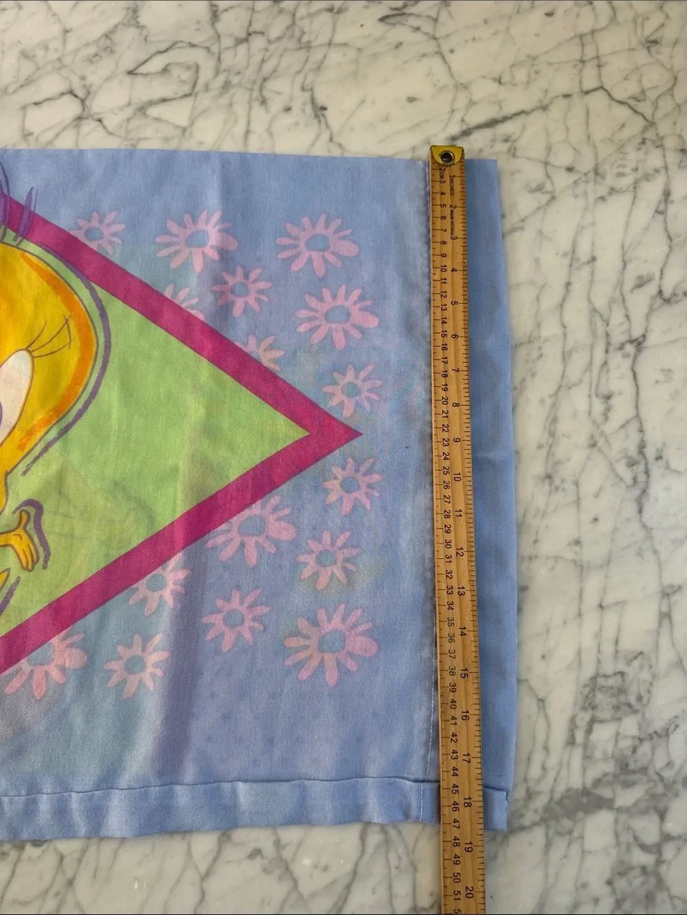 VTG Tweety Bird Pillowcase 2000 Pastel Colors